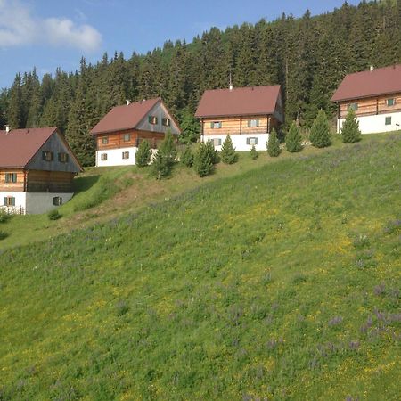 Vila Moselebaueralm Klippitztorl Exteriér fotografie