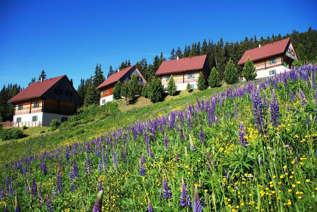 Vila Moselebaueralm Klippitztorl Pokoj fotografie