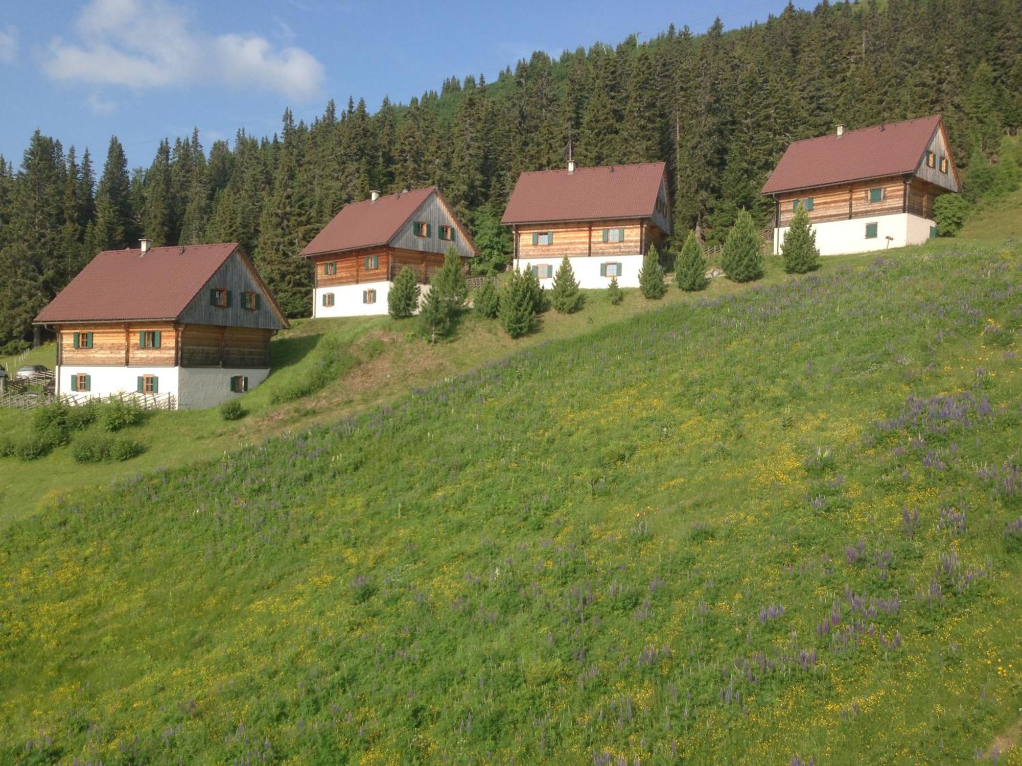 Vila Moselebaueralm Klippitztorl Exteriér fotografie