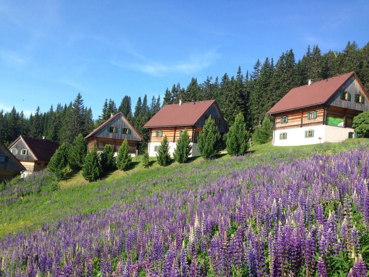 Vila Moselebaueralm Klippitztorl Exteriér fotografie